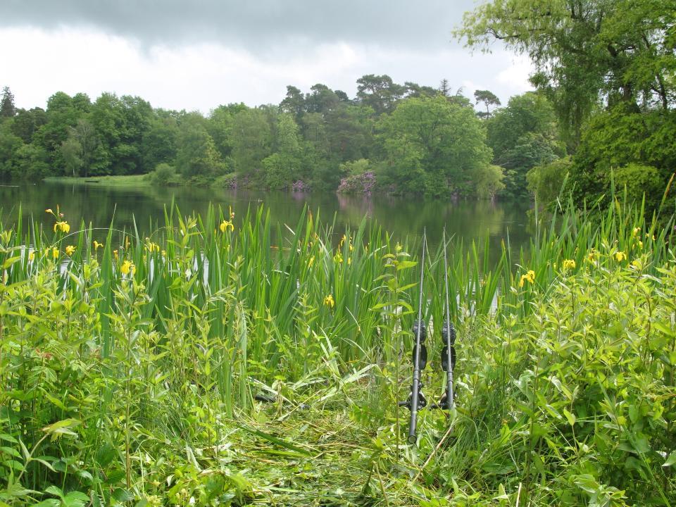 E-S-P - 392824101515872974447391458624352n.jpg